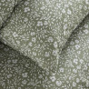 BB_S71015181