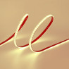 BB_S7927085