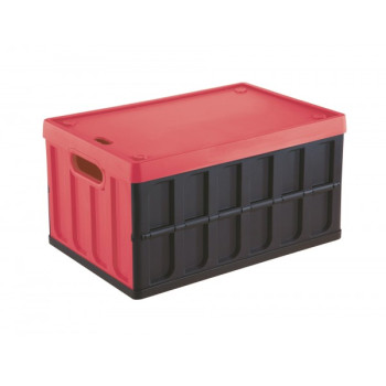 kaste ptmasasmasas. 46L 53*35*29cm с крышкой suразборный