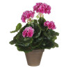 BB_S7901876
