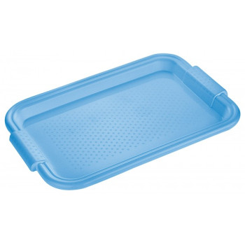 Padėklas plast. 45*30*2.5cm  268