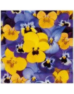 Servetėlės 33x33CM LOOKING...