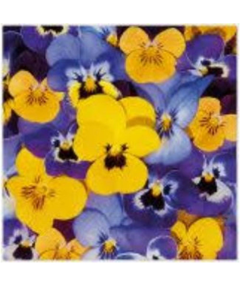 Салфетки 33x33CM, LOOKING PANSIES, Коллекция Paw Decor