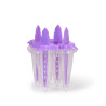 Frozen pop mould (plastic)