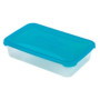POLAR FROST MAISTO DĖŽUTĖ 2.7 l, 29.5x19.5x6.4 cm, SKAIDRUS PLASTMASA, MĖLYNAS DANGTELIS, HEIDRUN