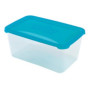 Polar Frost Food Storage Box 5.3 l, 29.5 x 19.5 x 12.7 cm, transparent blue lid, plastic, HEIDRUN