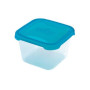Polar Frost maisto dėžutė 1.2 l, 14.5x14.5x9.1 cm, skaidrus plastikas, mėlynas dangtelis, HEIDRUN