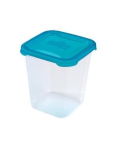 POLAR FROST PLASTMASINĖ...
