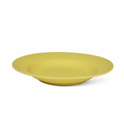 Deep plate 23x3.6 cm, color...