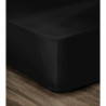 BB_S7105384