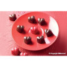 Silicone mould for chocolate 30x22 h-25mm 15x10ml MONAMOUR