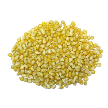 Popkorn 4 kg