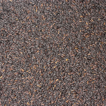 Black whole grain rice 500g JUST NATURE