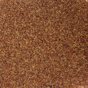 Sarkanie pilngraudu rīsi 500g JUST NATURE