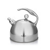 FIONA Whistling kettle 2.75 LTR (stainless steel)