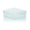 Storage box GENT plastic 30x30x10cm transparent