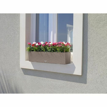 Plant pot Lechuza,,,
