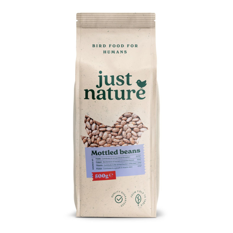 Pinto beans 500g JUST NATURE
