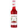 Monin spanguolių sirupas 700ml