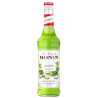 Monin Gurķu sīrups 700ml
