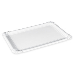 Pabertaldrikud 25×35cm 125tk