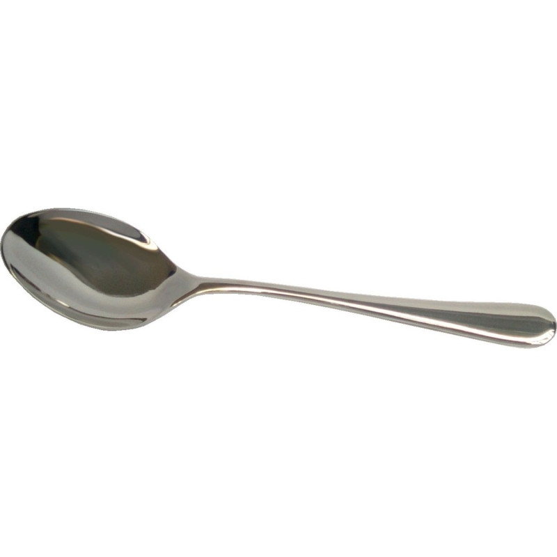 PITAGORA Serving spoon