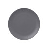 Plate NEO FUSION D31cm stone