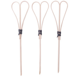 Dekoratiivsed puuviljad