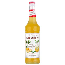 Monin Limonado segu CLOUDY...