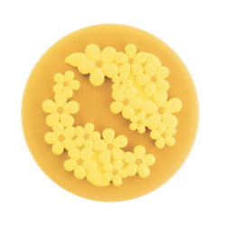 FLOWER POWER'i 2 jaotise vorm