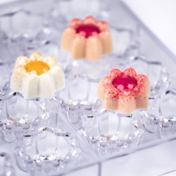 Polycarbonate mould DAFNE...