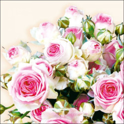 Salvestised 33 cm 3k. 20GB...