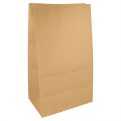 Paper bag 22x14x37 without...