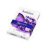 Scented Tealights box 6 4hr lavender