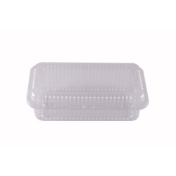 Plastic container with lid...