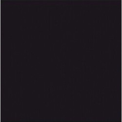 Napkins 20x20cm 100pcs black