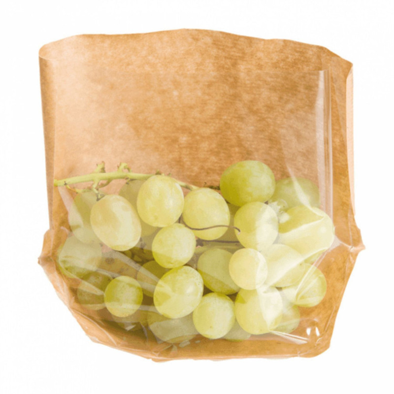 Сумка бумажная черепаха 20x15x4cm 100 ГБ коричневый/прозрачный