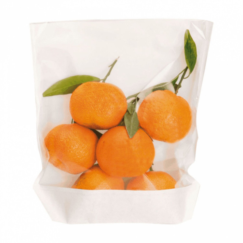 Paberkilp 20x24/21x3.5cm 100 gb valge/läbipaistv