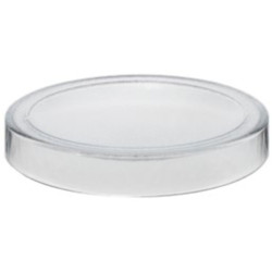 Plate HOLLOW D30cm glass clear