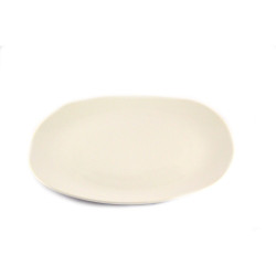 Plate TITAN 19×19cm