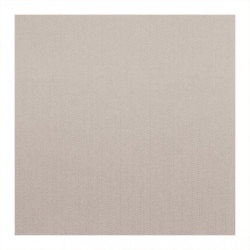 Napkins 20x20cm 100pcs...