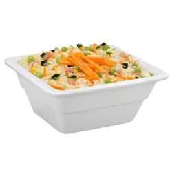 Dish GN1/6 melamine...