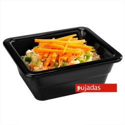 Dish GN1/6 melamine...