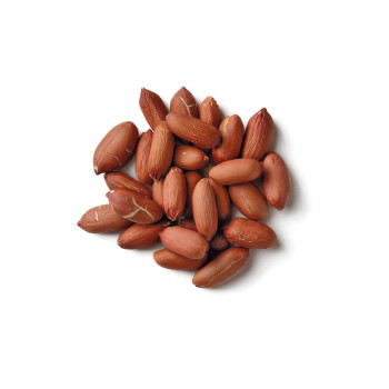 Žemės riešutai 500g