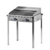 Gas grill Green Fire with 2 burners