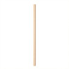 Paper Straws D 0.6cm h-14cm natural 250 pcs