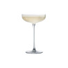 Coctail stemware 220ml SAVAGE Coupe