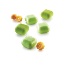 GEM 30 - SILICONE MOULD...