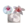 Orchid flower form for sugar paste design, 4pcs