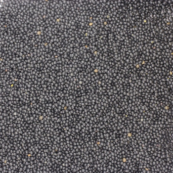Beluga lentils 500g JUST NATURE